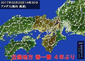 ４ねんぶり