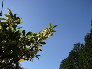P1040383