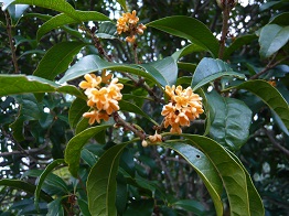 P1040412